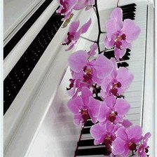 Схема вышивки «Орхидея»