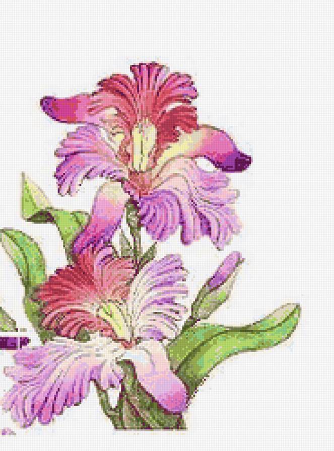 №61387 - цветы - предпросмотр