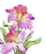 Схема вышивки «№61387»