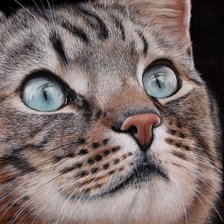 Схема вышивки «Домашний тигр»