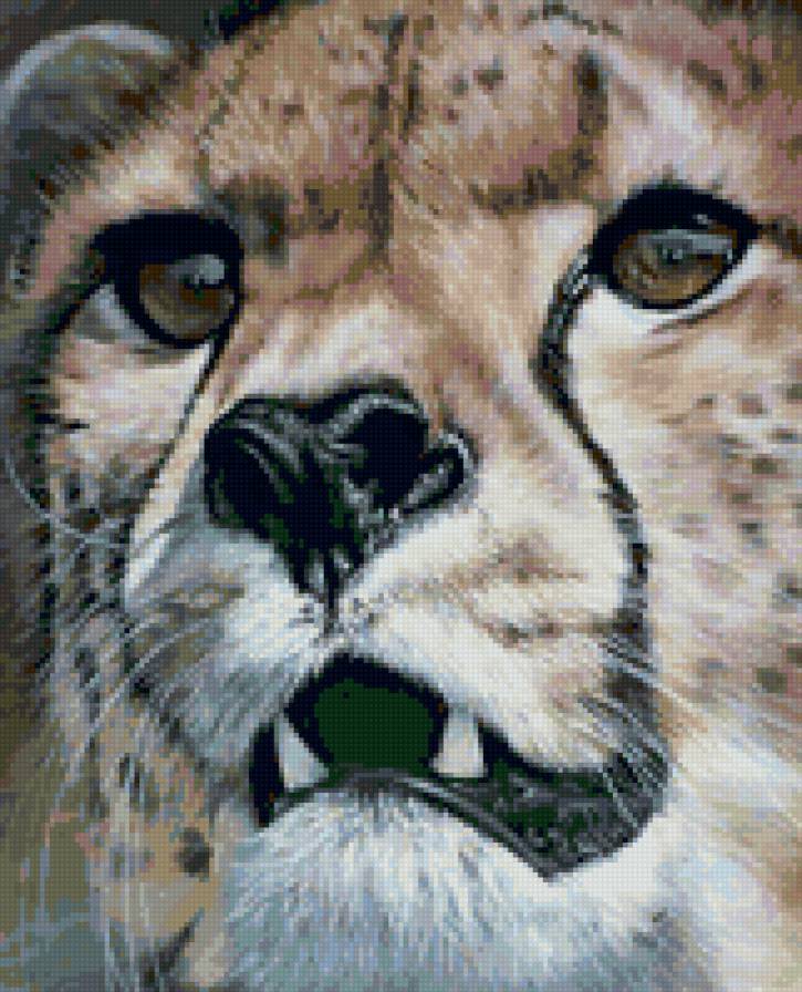 Гепард - животные, elize bezuidenhoit, живопись - предпросмотр