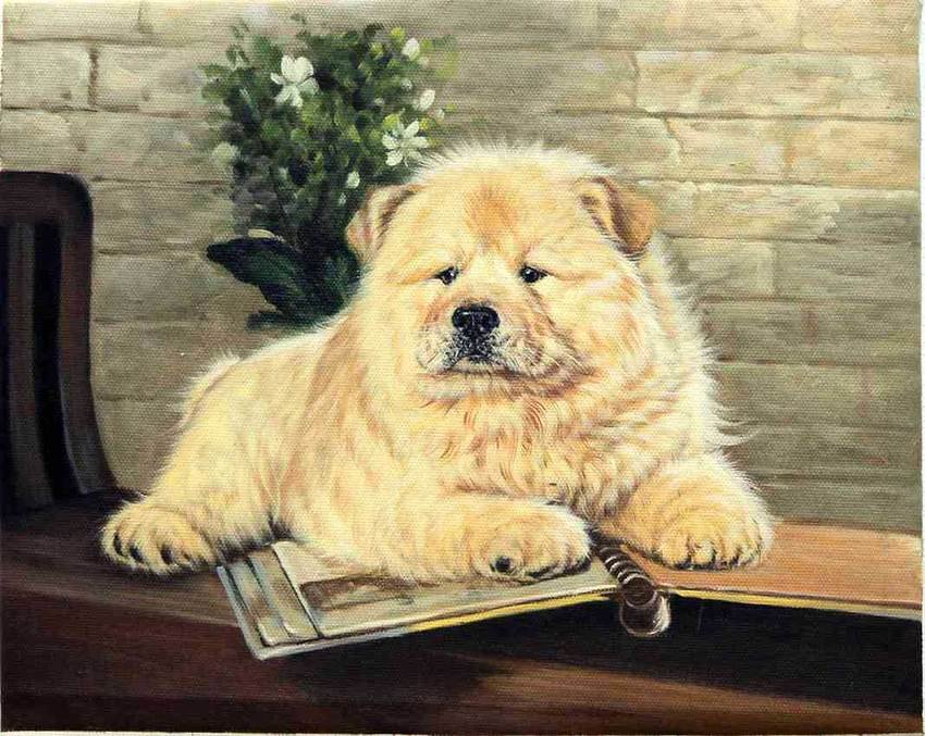 520 - животные - оригинал