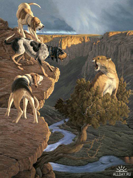 521 - животные - оригинал