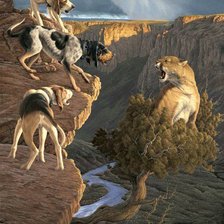 Схема вышивки «521»