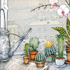 Жизнь на подоконнике