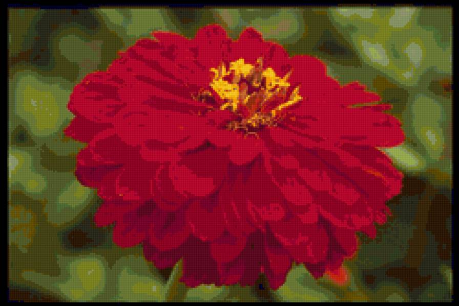 №61840 - цветок, цветы - предпросмотр