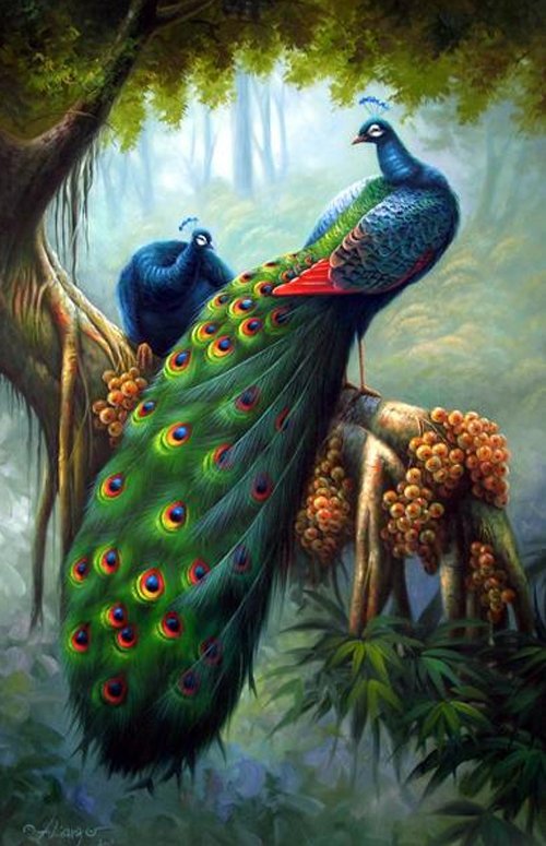 царь павлин - оригинал