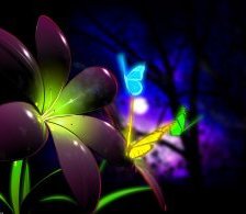 Схема вышивки «светящиеся цветы1»