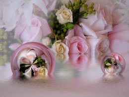 нежность - оригинал