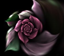 Схема вышивки «РОЗА»