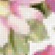 Предпросмотр схемы вышивки «нежненько» (№61922)