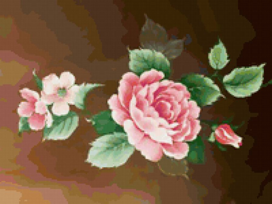 розаа - предпросмотр