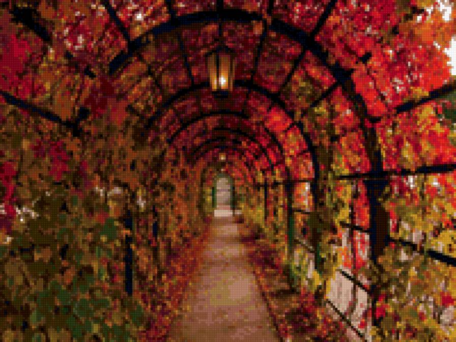 №61955 - предпросмотр