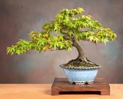 №61990 - оригинал