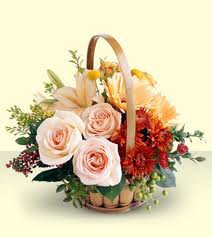 №62005 - оригинал