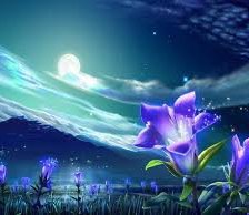 Схема вышивки «№62006»