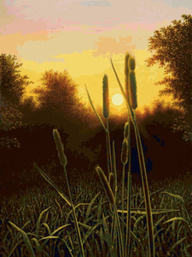 Рогоз - пейзаж, природа, закат - предпросмотр