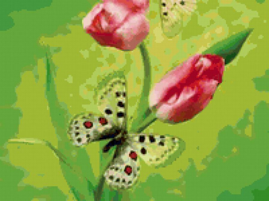 №62016 - предпросмотр