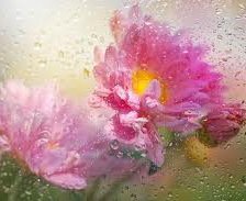 Схема вышивки «№62017»