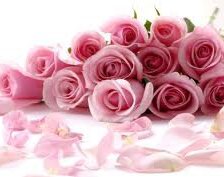 Схема вышивки «№62019»