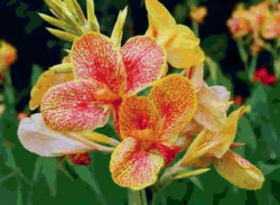 №62026 - предпросмотр