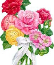 Схема вышивки «№62033»