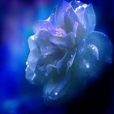 Схема вышивки «№62039»