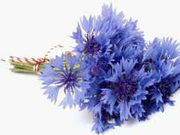 №62051 - оригинал