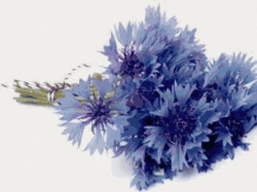 №62051 - предпросмотр