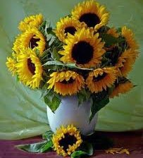 Схема вышивки «№62064»