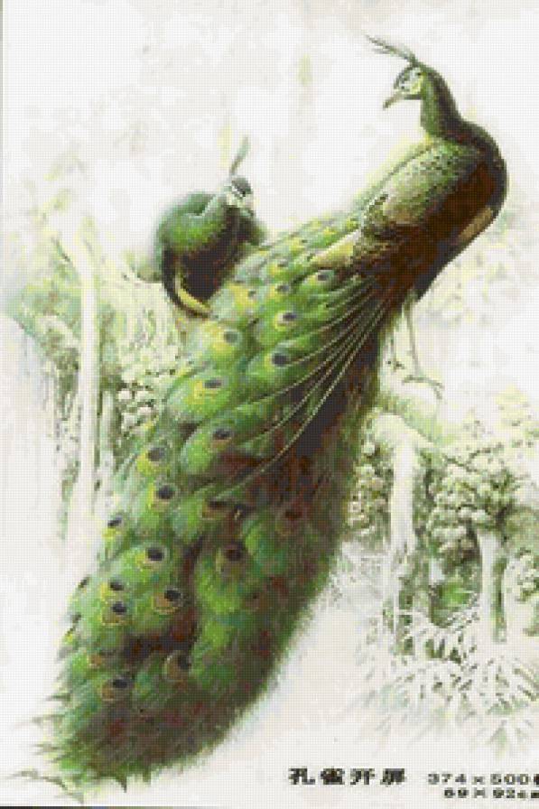 №62083 - предпросмотр