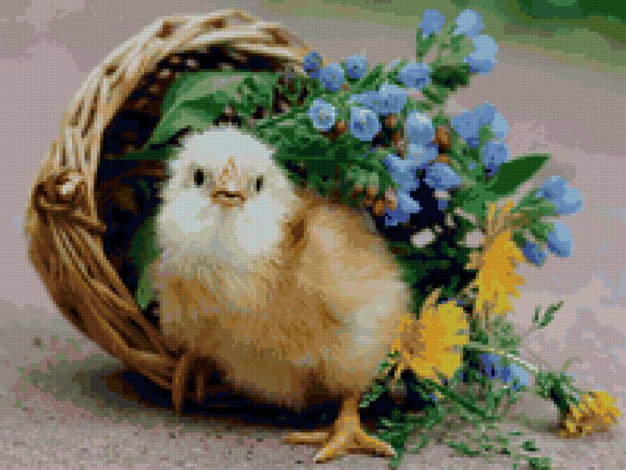 цыпа - предпросмотр