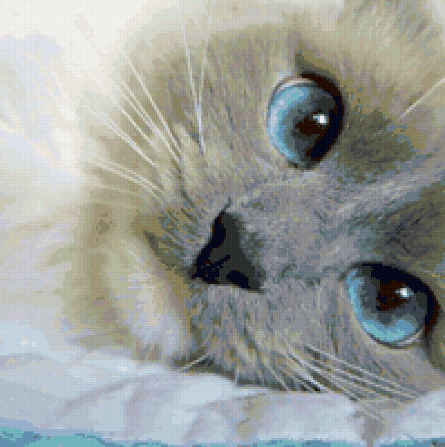 Глаза - кот - предпросмотр