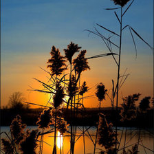 Схема вышивки «На закате»