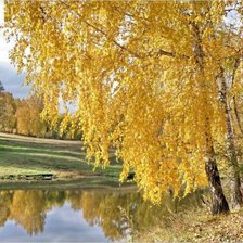 Схема вышивки «Золотые березы у реки»