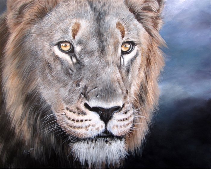 Царский взгляд - живопись, животные, elize bezuidenhoit - оригинал