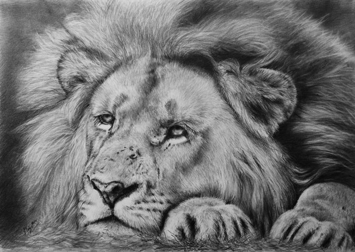 Отдых - живопись, elize bezuidenhoit, животные - оригинал