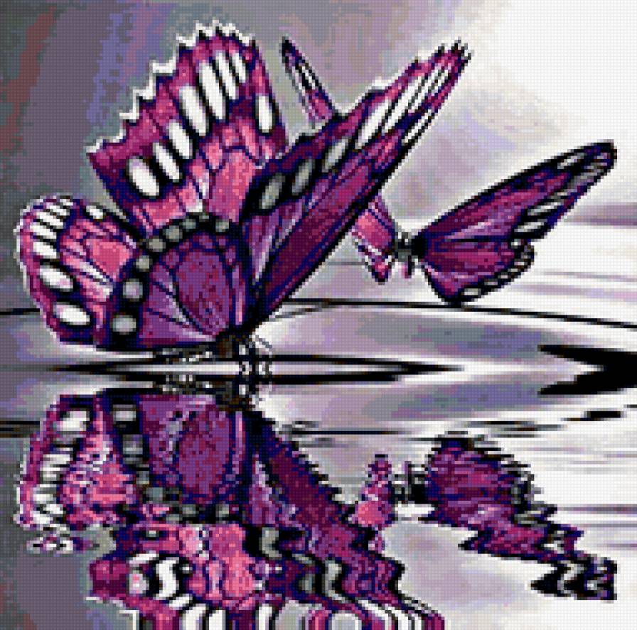 бабочки над водой - предпросмотр