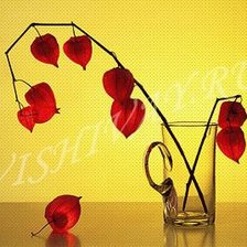 Схема вышивки «физалис»