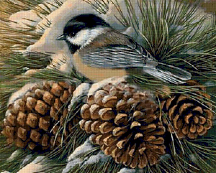 птичка-синичка - птичка-синичка - предпросмотр