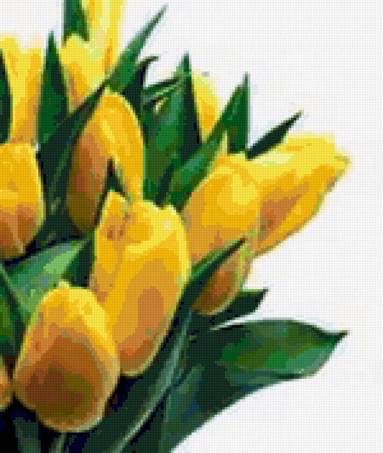 Желтые тюльпаны 1 - предпросмотр