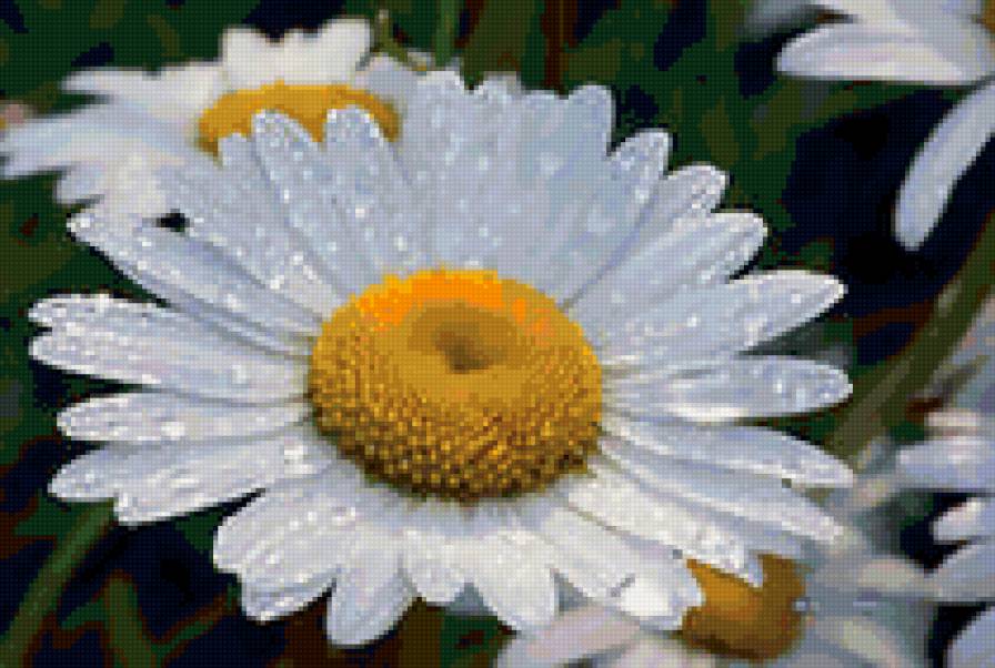 №63973 - предпросмотр