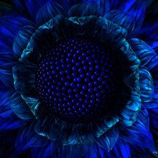 Схема вышивки «цветочек»