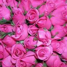 Схема вышивки «розы»