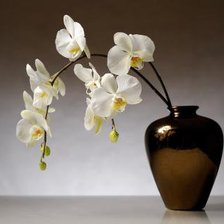 Схема вышивки «Орхидея»