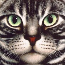 Схема вышивки «серия "Кошки" 3»