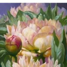 Пион часть 1