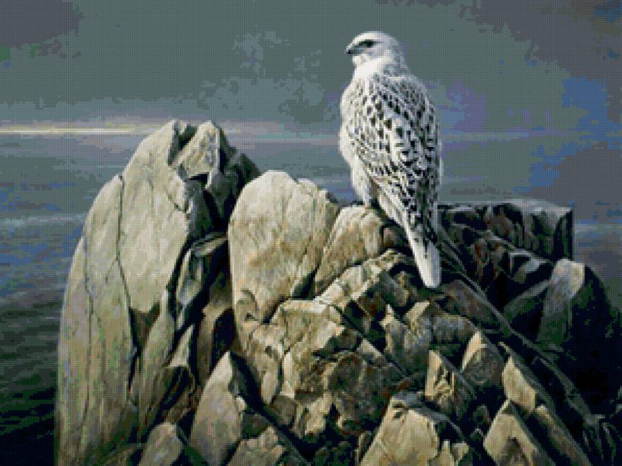 серия Птицы - природа, животные, птицы - предпросмотр