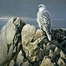 Схема вышивки «серия Птицы»