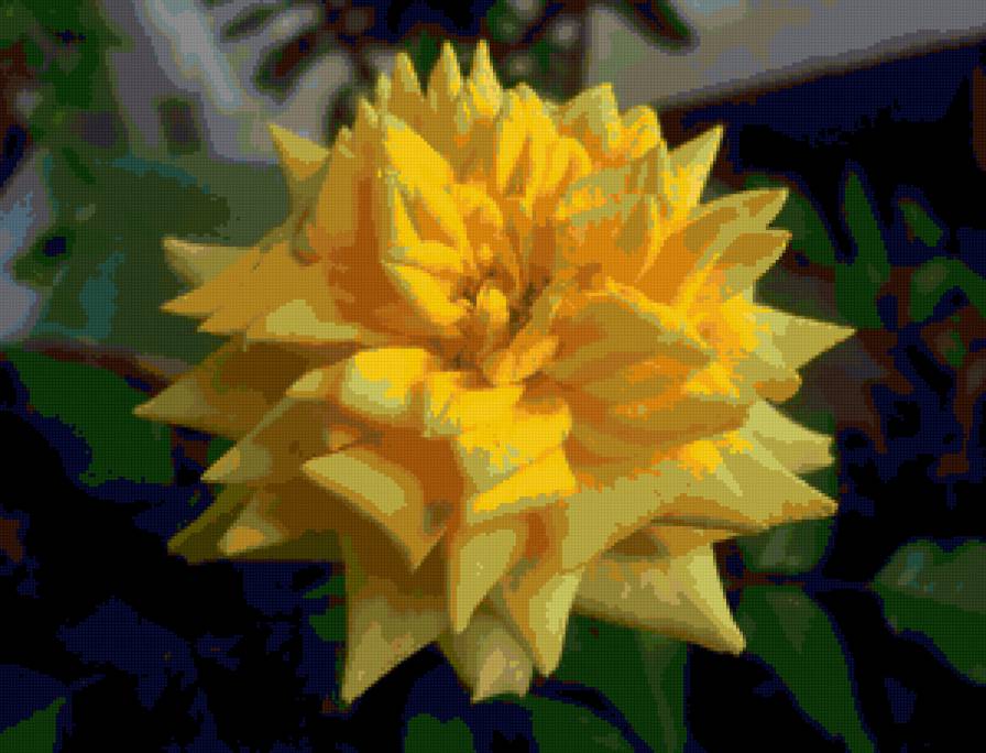 роза - цветы, роза, розы, цветок - предпросмотр